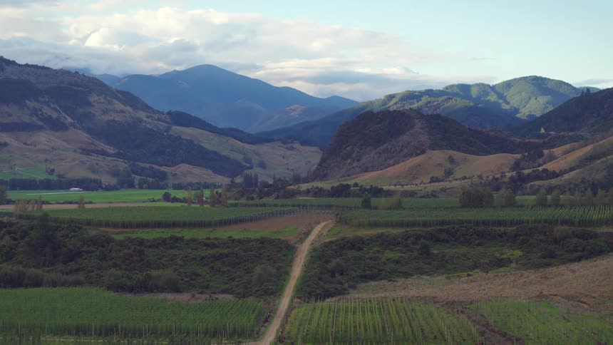 Dirt road running through farmland with mountains in the distance under a cloudy sky