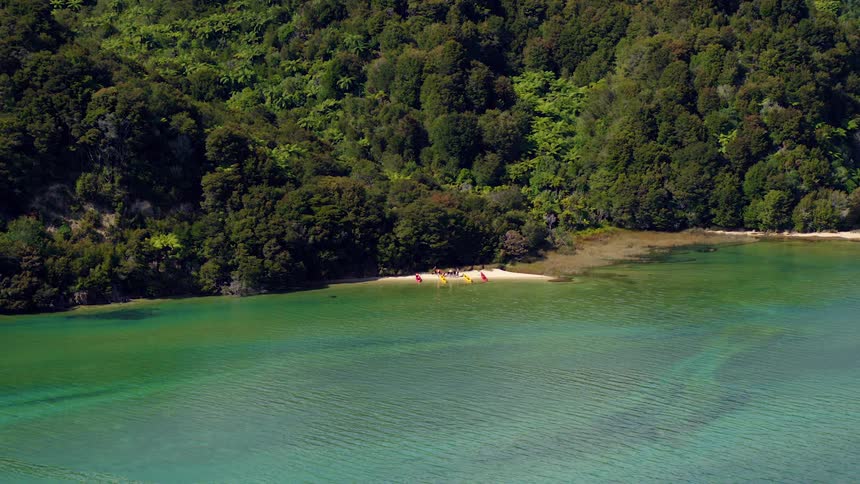 Kayaks and kayakers on the beach near the forest
