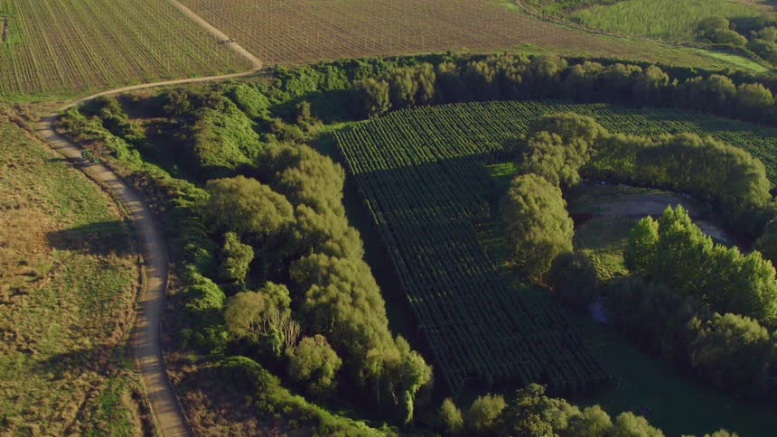 Aerial view of tractor driving dirt road next to farms