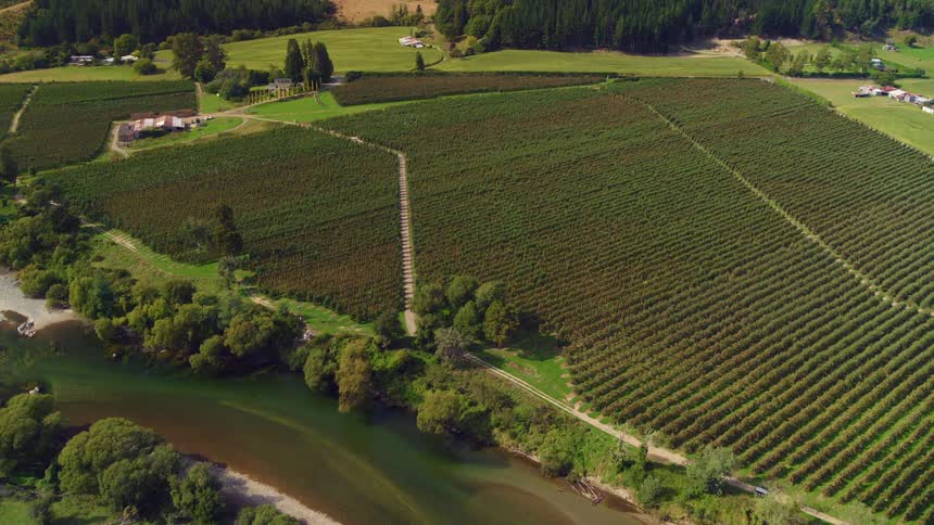 River with water flowing around sand bars borders crop fields separating houses