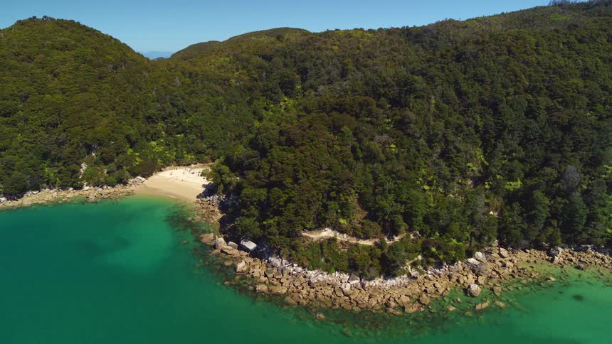 The island is covered with a dense forest