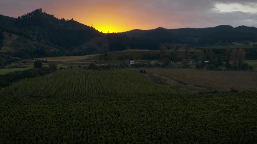 Farmland with the sun rising between mountain in the distance