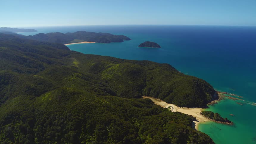 Aerial shot of a coastline with a forest
