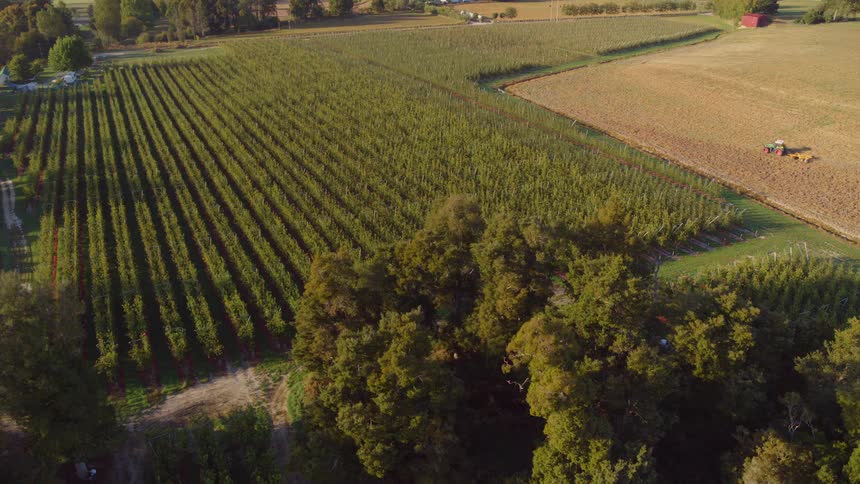 A tractor is plowing a large field on a farm