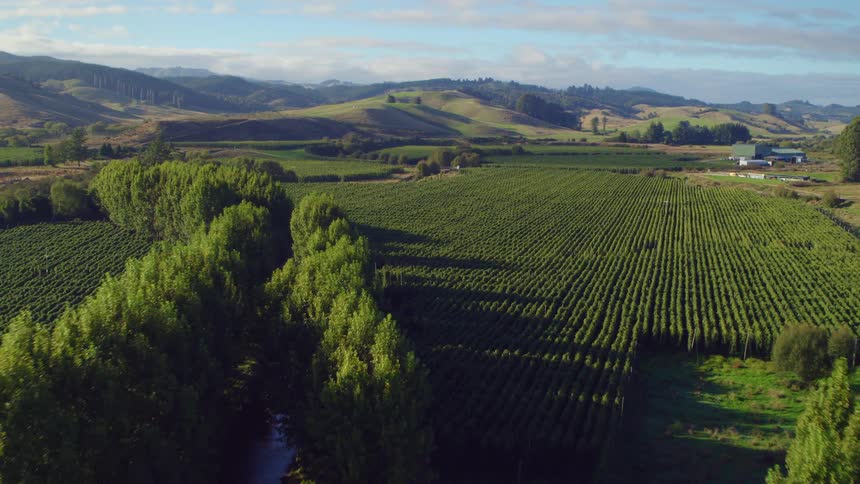 Aerial view of cultivated fields and farms