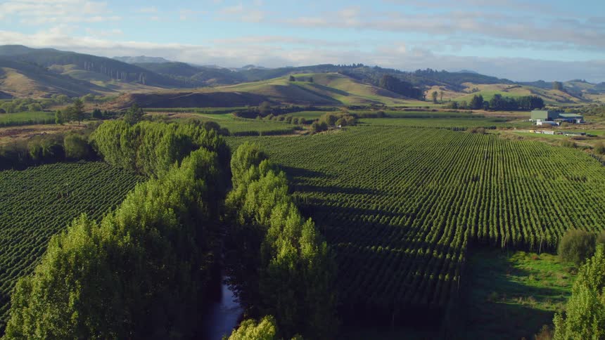 Tree bordered stream winds through crop fields as hills occupy horizon past buildings