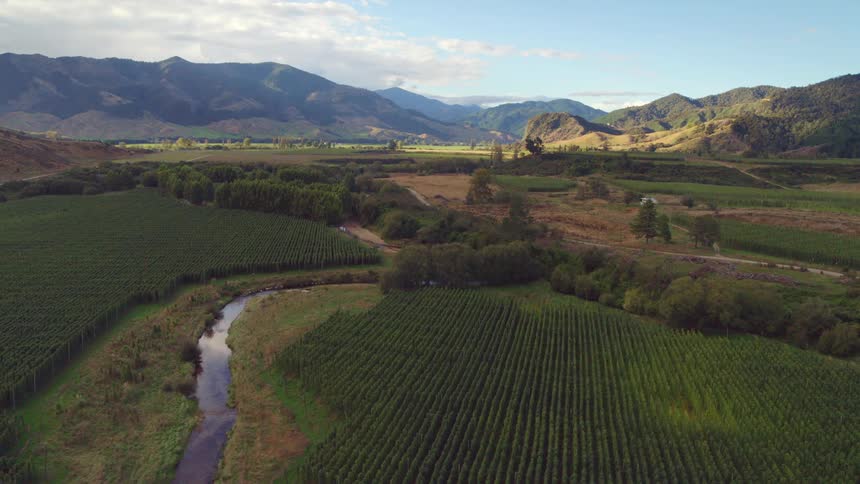 An aerial view of farm land near some mountains