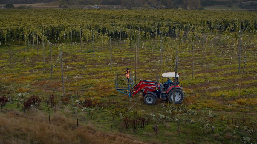 Farm workers are on a red tractor working on the farm