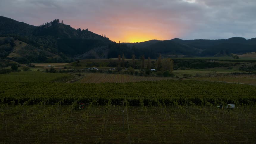 Tractor move through crop field as sun rises over forest covered hills