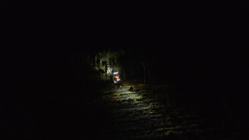 Tractor with headlights on pulling a shearing machine through a vineyard at night