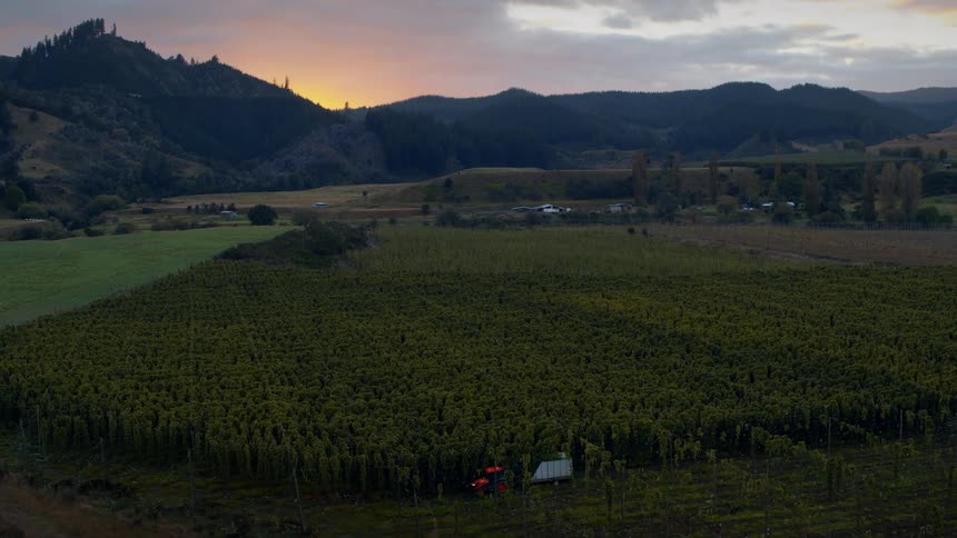 Aerial look at a farmland at sunrise with mountains visible at a distance