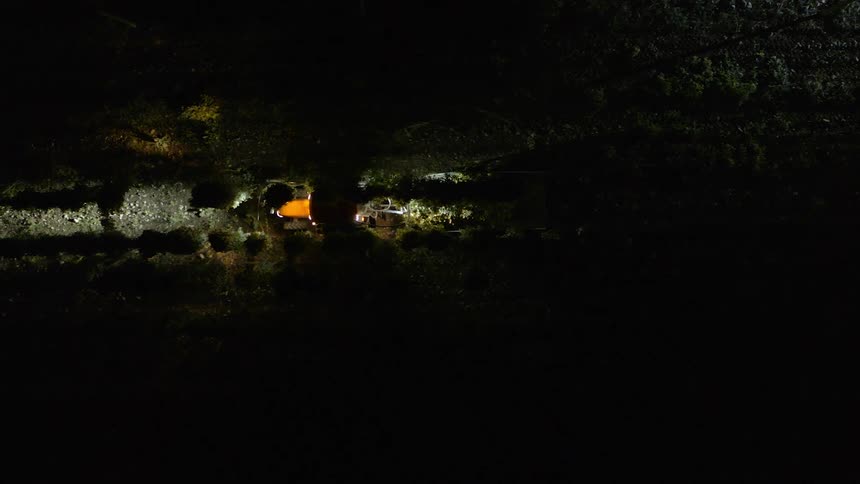 Tractor moves through orchard at night