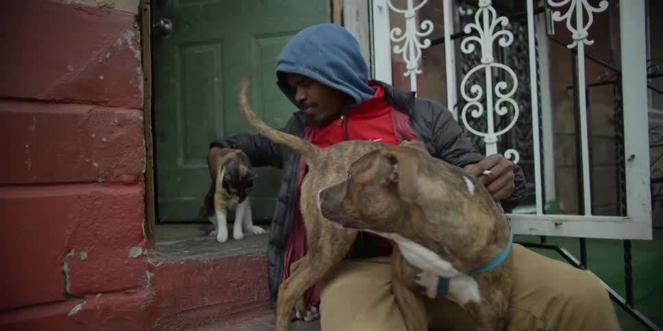 Man pets a cat and dog on steps to a house