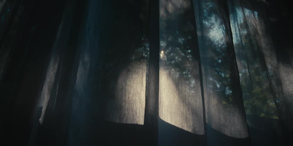 Morning sunlight filters through the trees and curtain on a window on a dark room