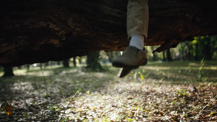 A child is sitting on a fallen tree and swinging his legs back and forth