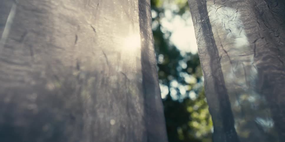 Curtains in a window sway gently in the wind
