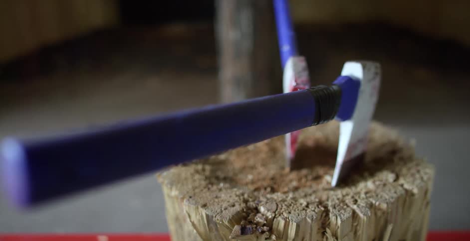 The tree trunk has two axes in it