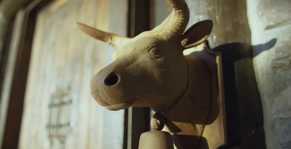 A room with a statue of a bullhead on the wall