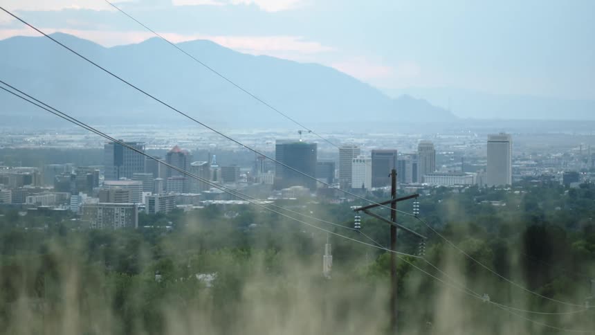 Grass on a hill outside a metropolis during the day