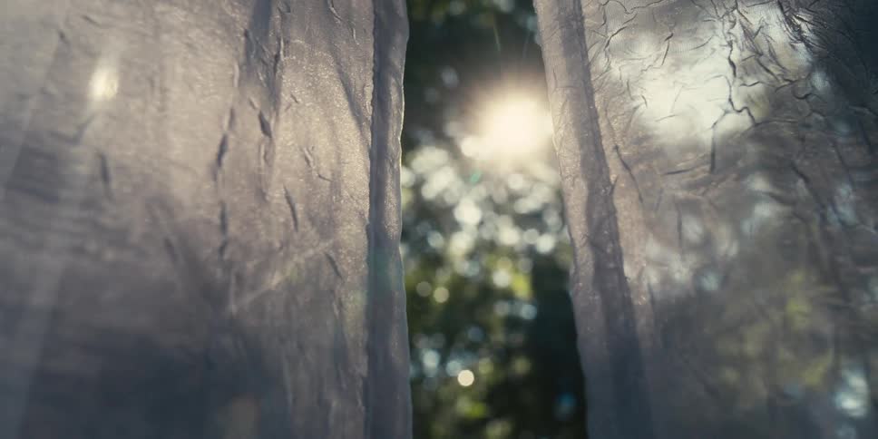 The sun shining through trees is seen through curtains
