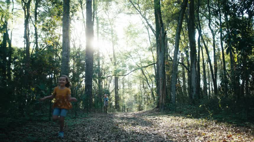 Two boys and a girl running in a forest with trees the sky and clouds in the background