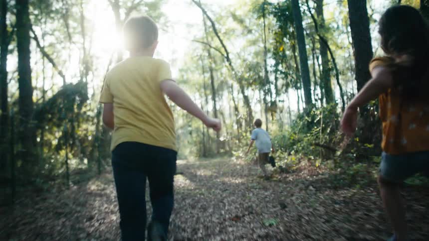 Two boys and a girl run on a path in the forest on a sunny day
