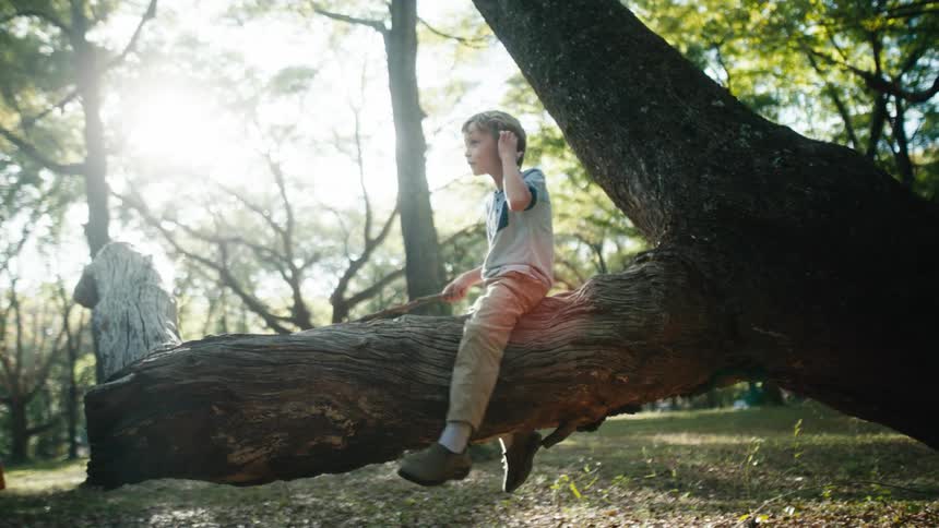 Boy sits on large tree limb his feet dangling as he plays with stick