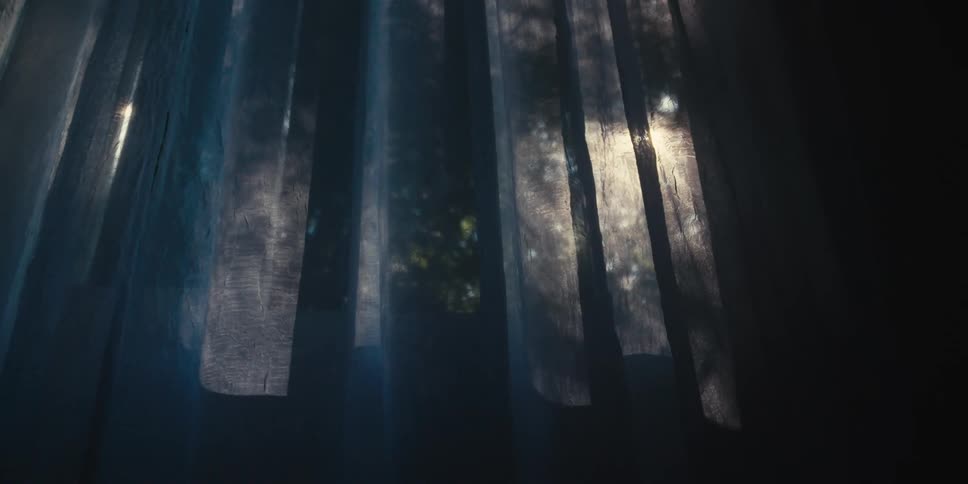 Lamp light filters through a curtain waving in front of a window at night