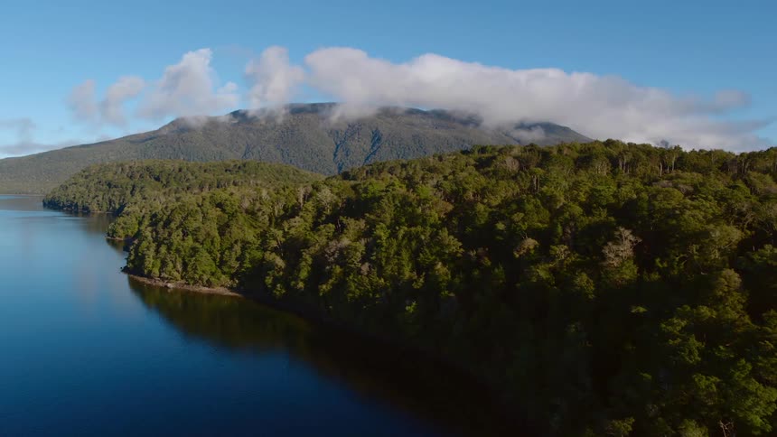 Clouds hovering above lush green forest trees near a lake