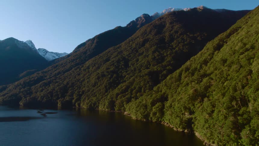 Aerial view of trees on the forests over the mountains near a lake at morning