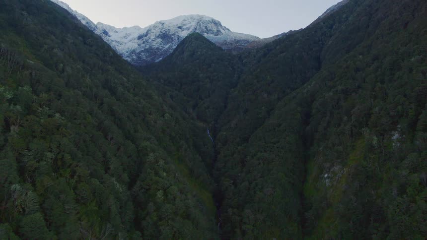 Aerial shot of a mountain forest