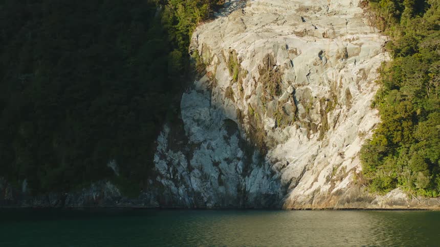 A coast with a cliff with trees and rocks next to the water