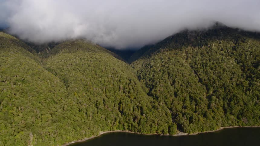 Low clouds cover summits of forest covered mountains bordering water