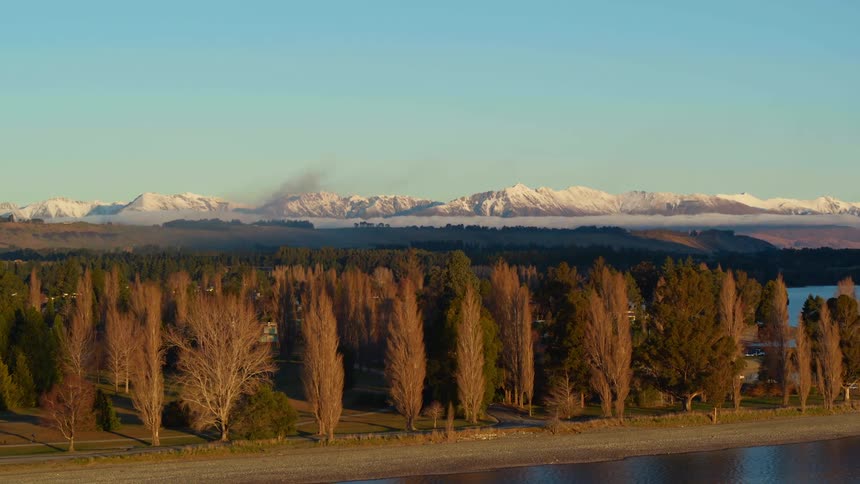 Aerial view of trees growing on the coast of a lake near the snow covered mountain range
