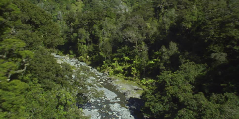 Stream winds through wilderness on sunny day