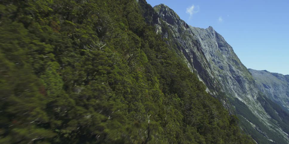 Aerial view of mountain slope with green trees during daylight