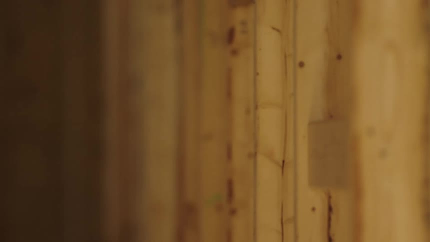 The wooden wall is blurry