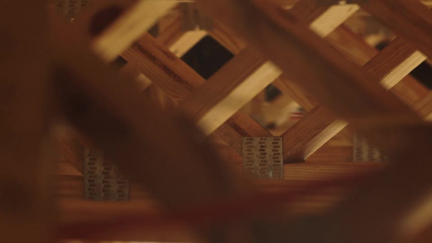 An animal is underneath and among some lattice work wood