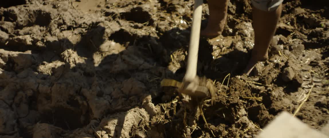A man tilling dirt