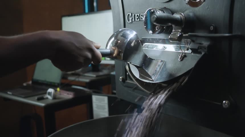 A person pours opens a spout to allow beans in to a coffee roaster