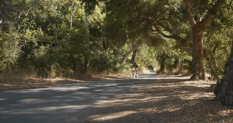 A person rides a dirt bike on a rural road surrounded by trees