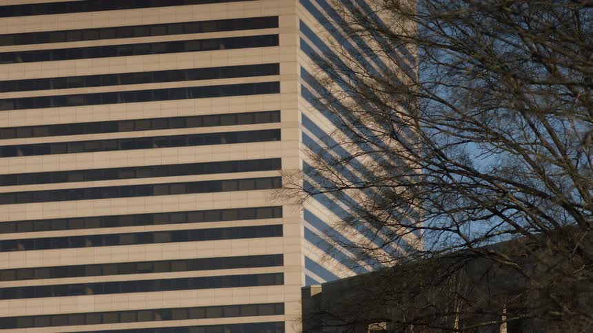 Tree sits next to a tall structure in the city under a blue sky