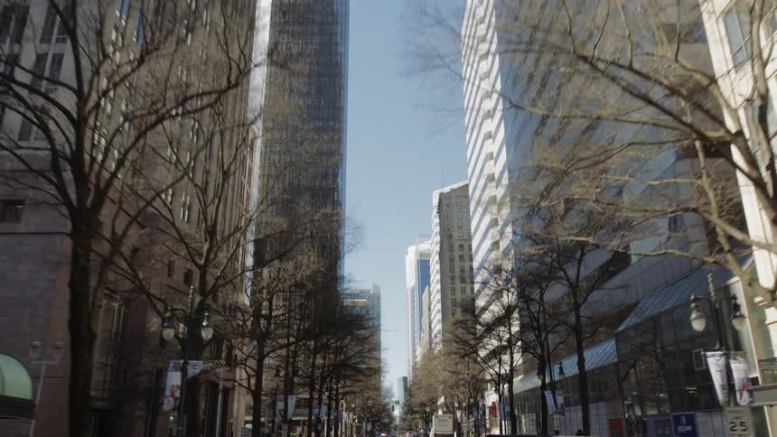 A city street is lined with leafless trees and several towering buildings