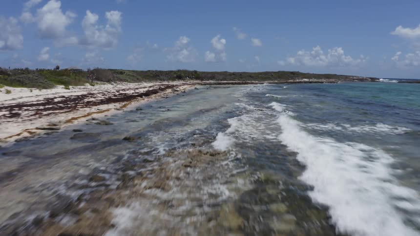 Small waves crash onto a seaweed covered beach
