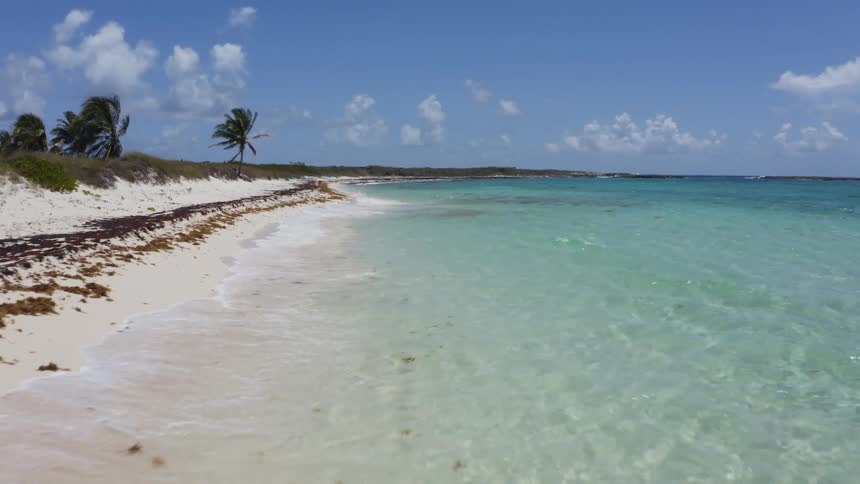 Waves roll onto a beach with palm trees and a few clouds in the sky