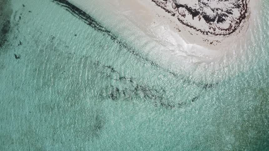 Crystal clear water laps at a white sand beach