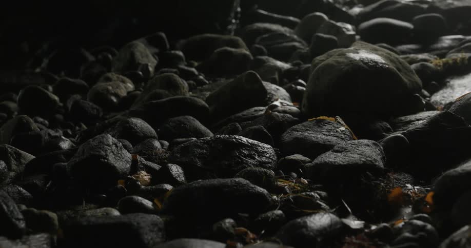 Many small and round rocks line the ground and covered in moisture