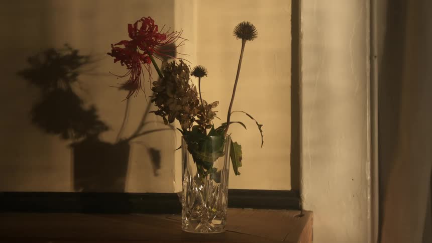 Plants with flowers in a vase in a room with a wall in the background