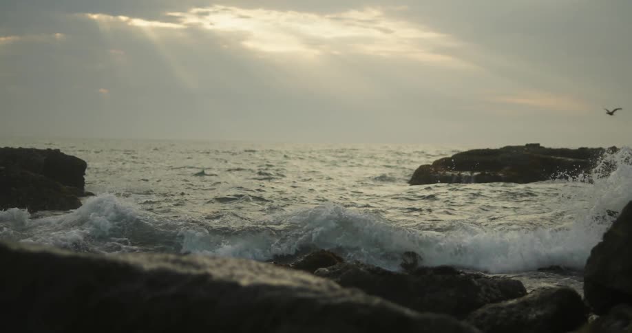 Rough water and waves roll over rocks as a seagull flies by on a cloudy day