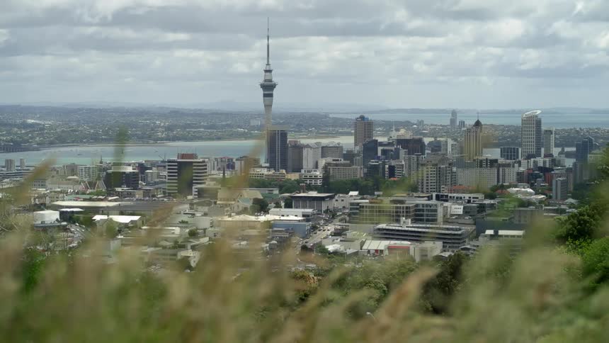 A city skyline with buildings and skyscrapers with plants in the foreground and the sky and clouds in the background